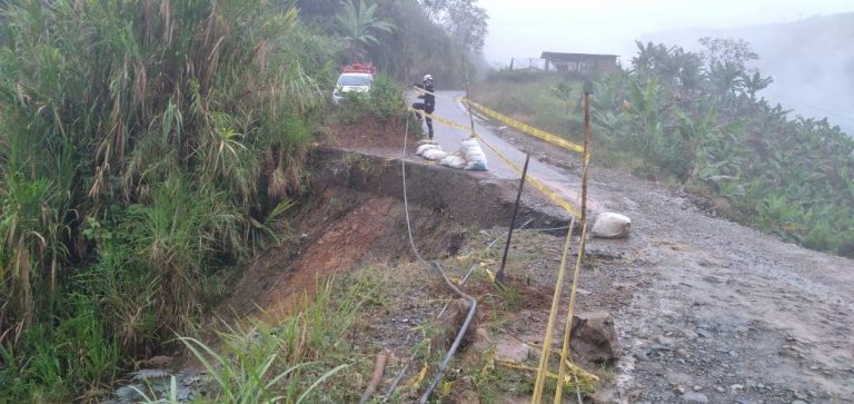 275136390_156090546791694_853192541676066246_n