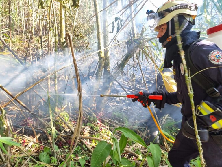 WhatsApp Image 2025-07-02 at 10.39.17 AM