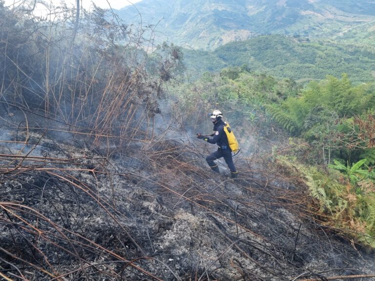 WhatsApp Image 2025-07-02 at 11.11.45 AM