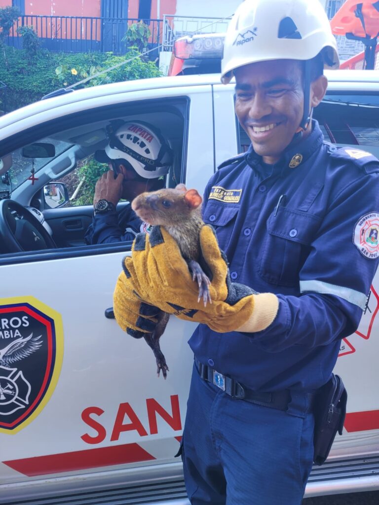 WhatsApp Image 2025-07-02 at 11.11.51 AM